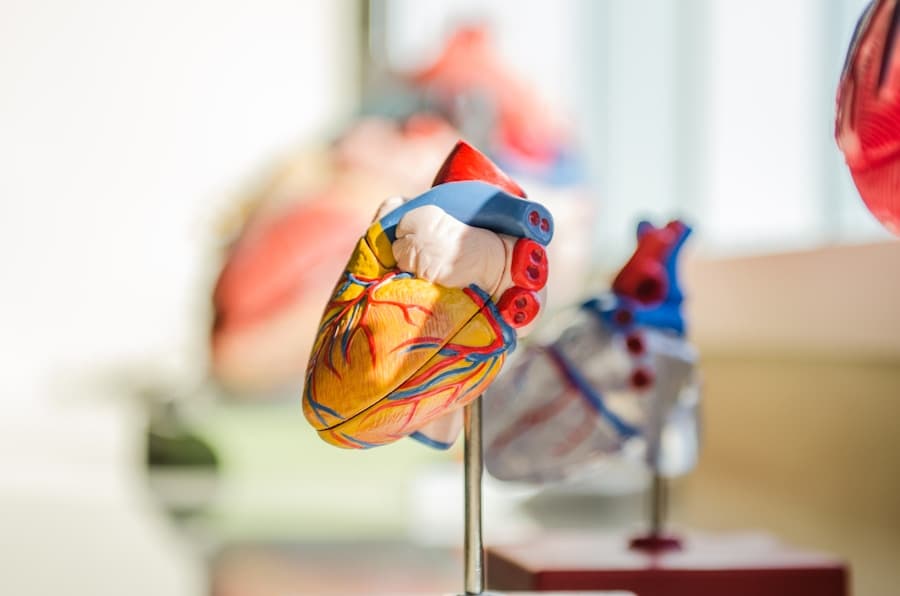 Aortic Valve Repair & Replacement